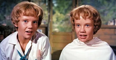 The parents trap cast